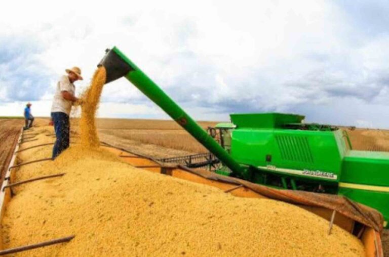 Agronegócio Mineiro é destaque no mundo