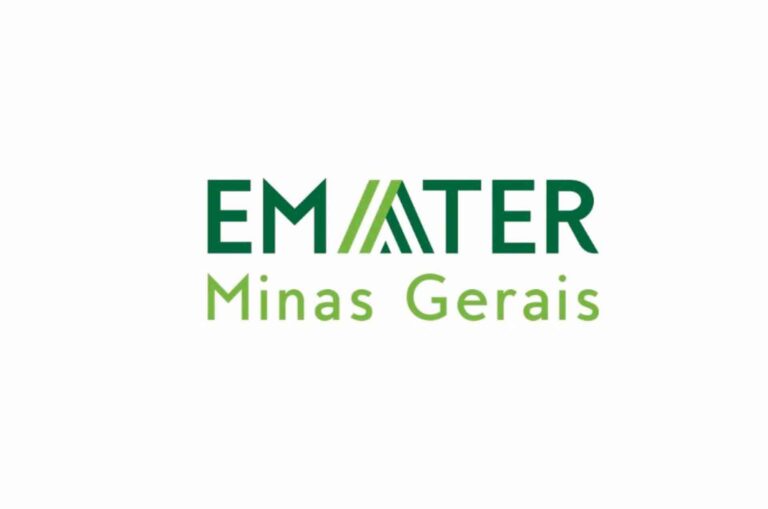 Atendimento remoto ganha espaço na assistência técnica e extensão rural