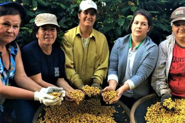 Mulheres estão acessando mais o crédito rural em Minas Gerais
