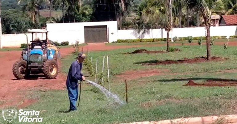 Prefeitura faz plantio de mudas e manutenção da jardinagem da Rua Seis em Chaveslândia
