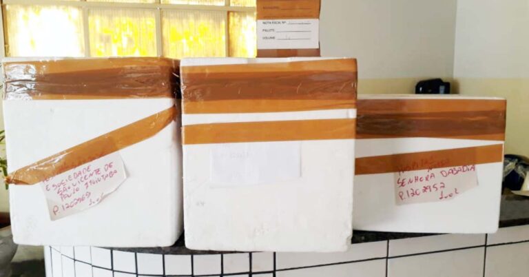 320 medicamentos do ‘Kit Intubação’ foram entregues a hospitais de Ituiutaba
