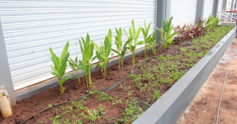 Município realizou paisagismo na Praça de Alimentação