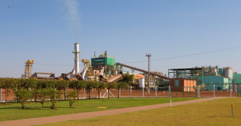 BP Bunge Bioenergia reabre inscrições para o Programa de Estágio 2021