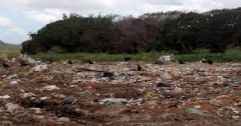 Municípios de Minas Gerais se reúnem para ofertar serviço de resíduos sólidos urbanos