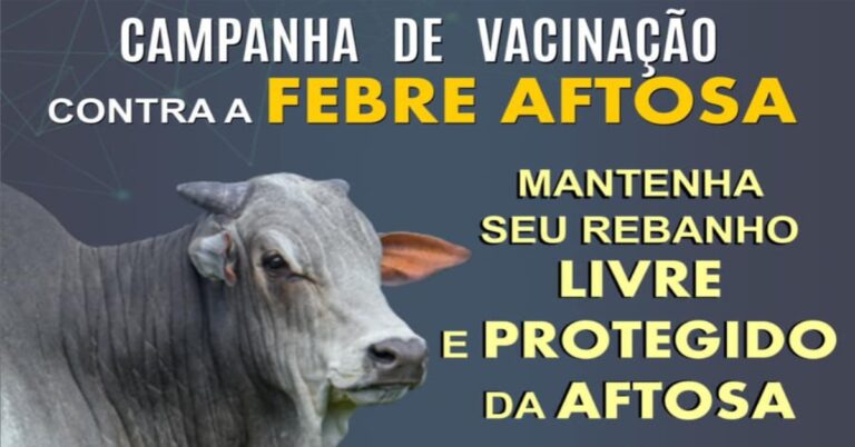 Febre Aftosa – É hora de vacinar