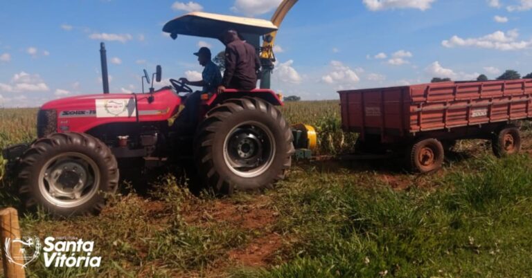 Pequenos produtores rurais, enquadrados na Agricultura Familiar, contam com apoio da Prefeitura na colheita de sorgo