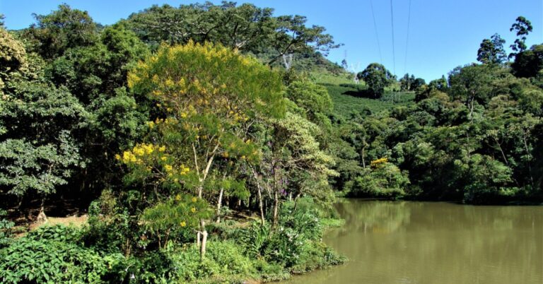Emater-MG realiza ações de proteção ambiental e preservação da água