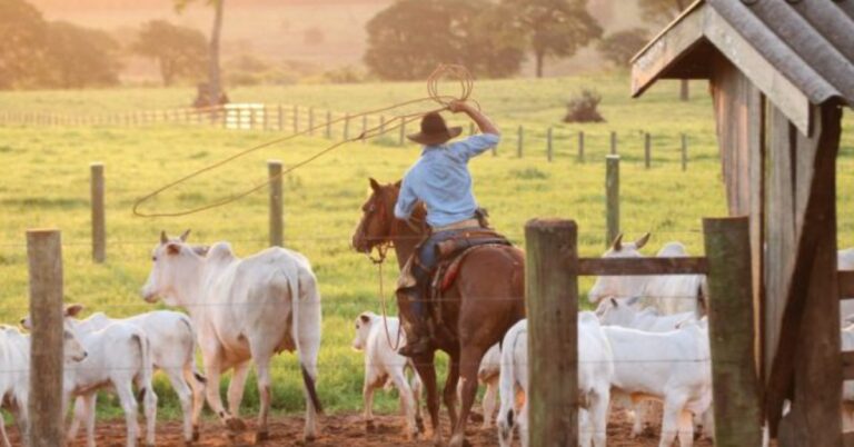PL que favorece produtor rural é aprovado em 1º turno