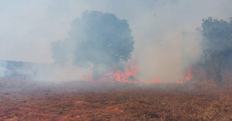 Prefeitura alerta população para que não coloque fogo em terreno baldio