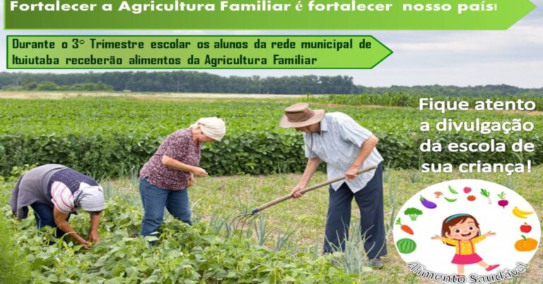 Alimentação Escolar e Agricultura Familiar já iniciaram as entregas para alunos