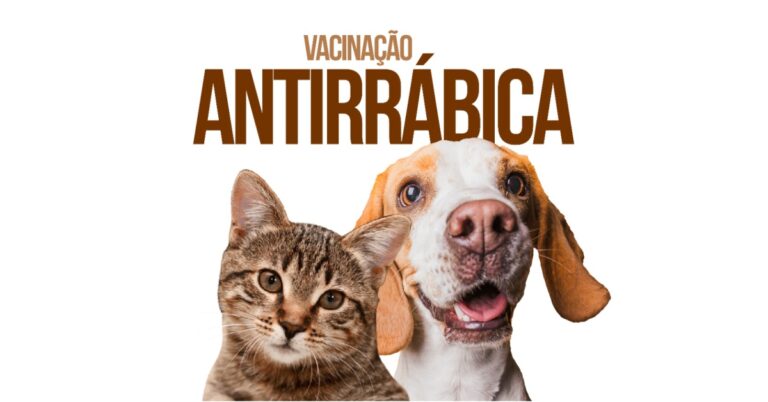 Campanha de Vacinação Antirrábica de Ituiutaba 2021 começa no dia 1º de setembro