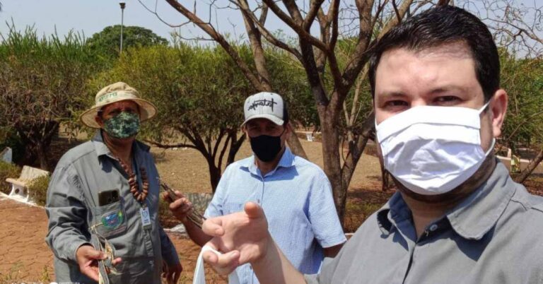 Secretaria de Meio Ambiente realiza coleta de sementes de ipê roxo para produção de mudas