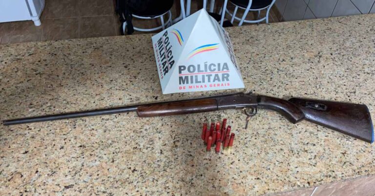 POSSE ILEGAL DE ARMA DE FOGO E MUNIÇÕES DE USO PERMITIDO