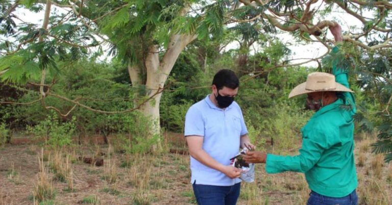 Projeto Plantando o Futuro de Santa Vitória estimula o plantio de árvores e a preservação do Cerrado mineiro