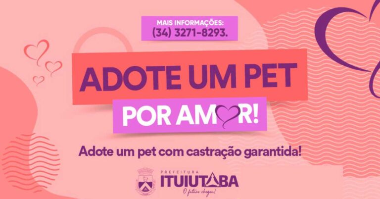 Prefeitura inicia campanha para adoção de animais com castração garantida