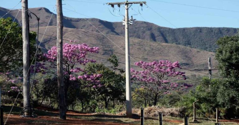 Investimentos da Cemig em Minas Gerais vão gerar 165 mil empregos