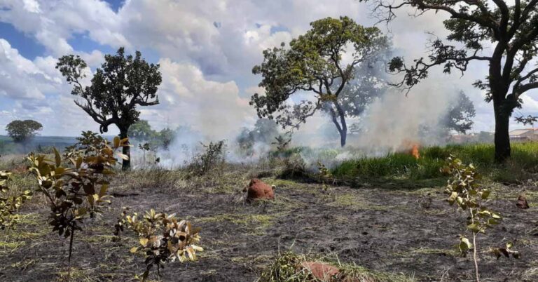 Bombeiros combatem incêndio em pasto
