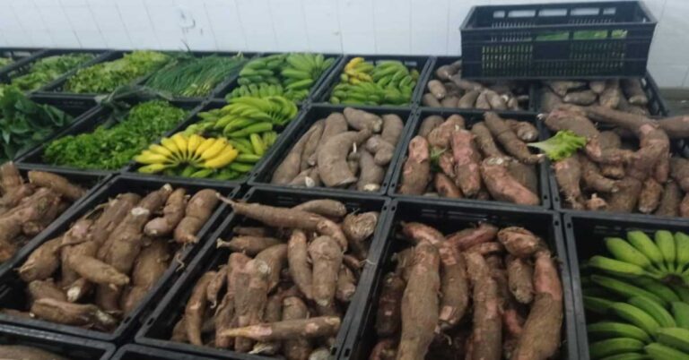 Cerca de 2,4 mil agricultores familiares são beneficiados pelo Programa de Aquisição de Alimentos em 2021