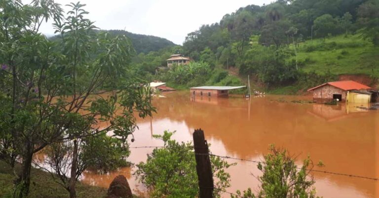 Chuvas – 119 mil hectares de lavouras foram perdidos em Minas Gerais, aponta levantamento da Emater-MG