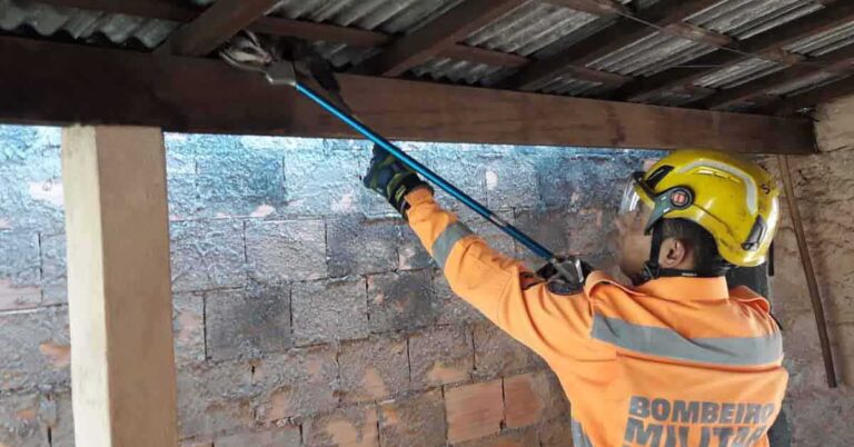 Bombeiros capturam gambá em varanda de residência no bairro Maria Vilela, em Ituiutaba