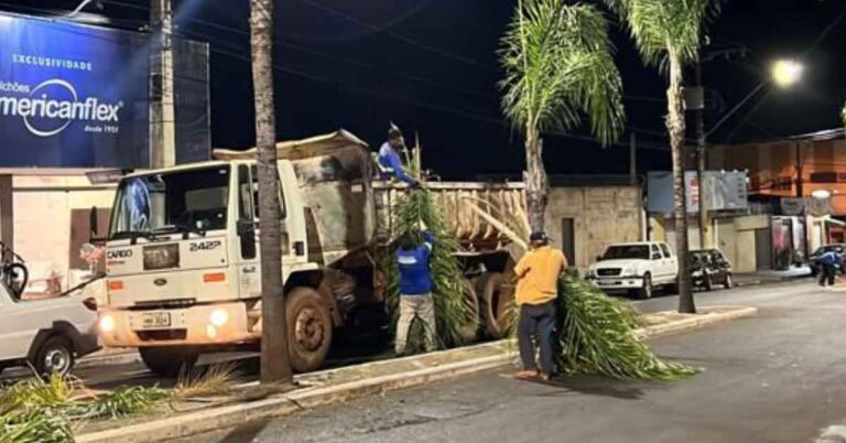 Prefeitura de Ituiutaba inicia revitalização dos canteiros centrais da Avenida Dezessete
