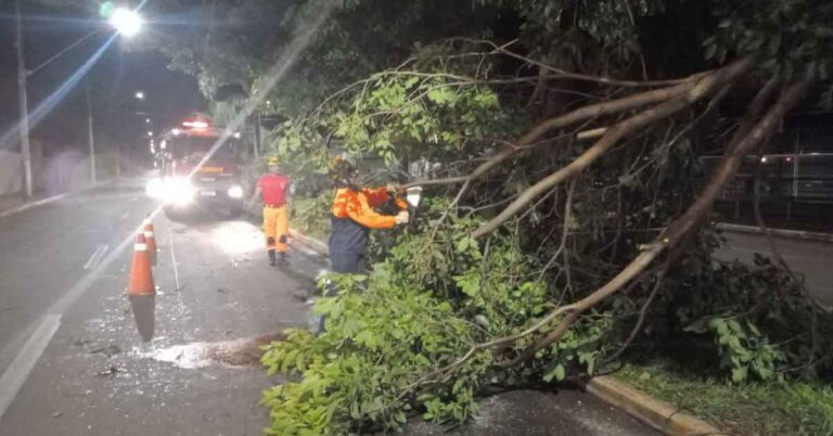 Bombeiros recebem diversos chamados após chuva forte deste domingo