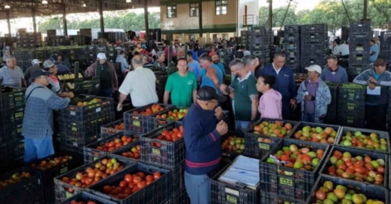 Hortifrútis têm aumento de 271% no Ceasa de Uberlândia