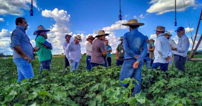 Israelenses visitam irrigação do Norte de Minas