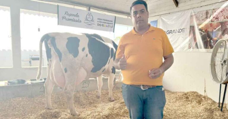 Vaca quebra recorde mundial de produção