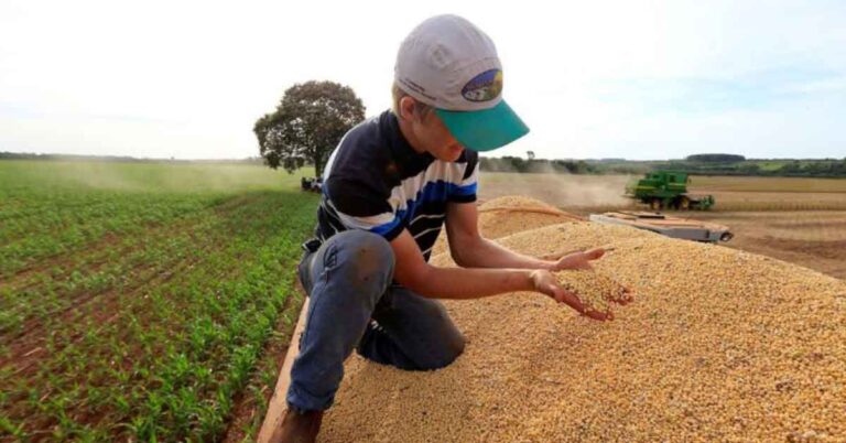 Safra de grãos é recorde em Minas