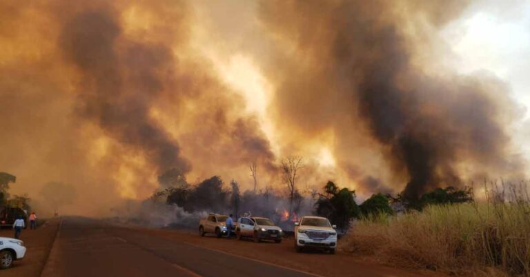 Bombeiros atuam em incêndio florestal de grandes proporções no município de Canápolis