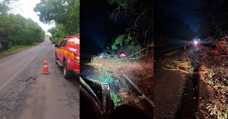 Bombeiros são acionados devido quedas de árvores na MG 154