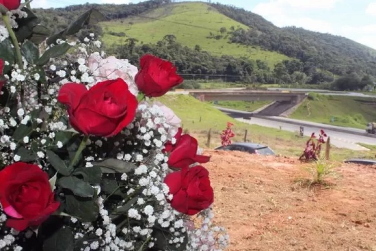 Produtores de flores comemoram safra em Minas 