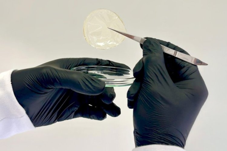 UFV cria curativo biodegradável 