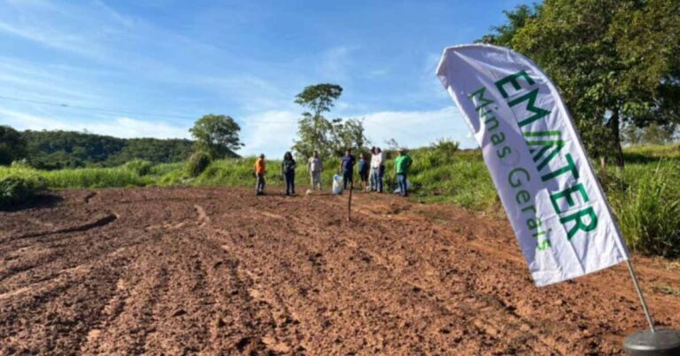 Emater-MG, Epamig e Prefeitura de Gurinhatã promovem evento técnico sobre a cultura do arroz no PA Divino Rosa