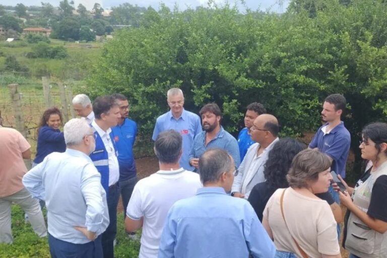 O potencial da vitivinicultura de inverno em MG 