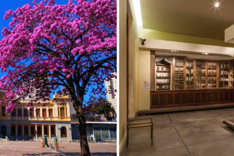 ​Feira da Estação realiza edição especial de Dia das Mães no SESI Museu de Artes e Ofícios 