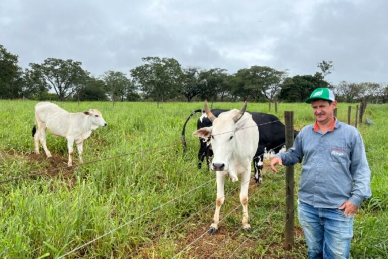 ​Agro + Verde recupera 3.300 hectares no oeste de Minas Gerais 