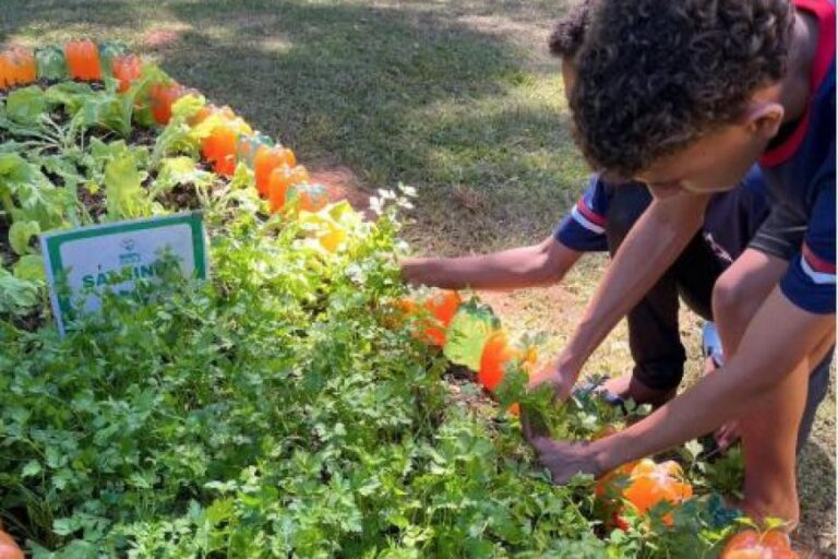 ​Agro na Escola une educação e prática no campo em Belo Oriente 