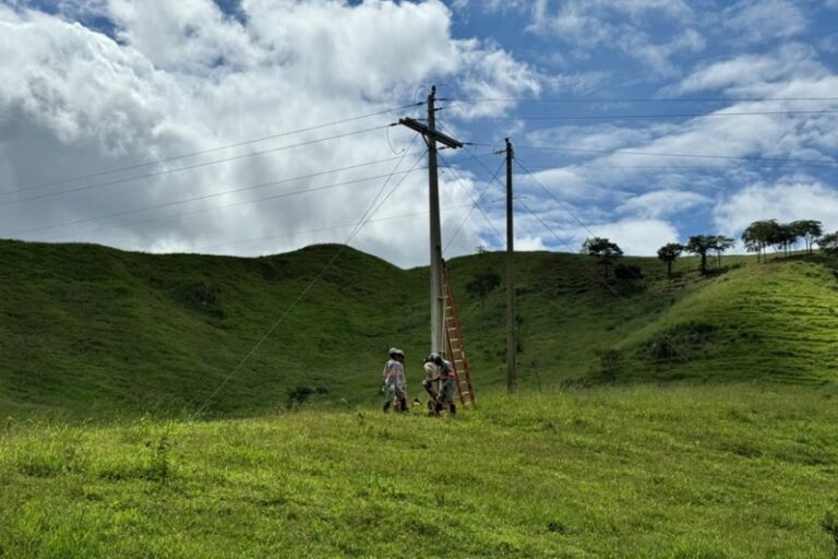 Eletrificação rural recebe investimentos 