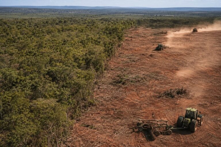 Operação investiga desmatamento do Norte 