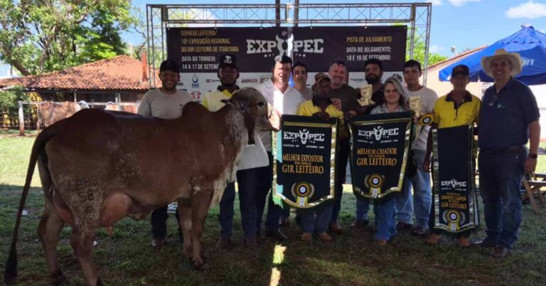 Pista de julgamento na 47ª Expopec reúne qualidade genética e criadores de destaque na 10ª Exposição Regional do Gir Leiteiro