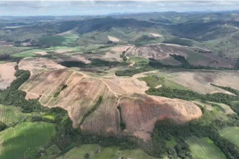 Empresa anuncia aquisição bilionária em Minas 
